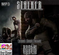 S.T.A.L.K.E.R. :  )