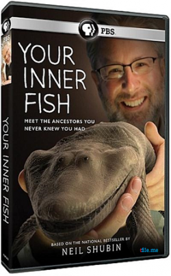   ( 1.  1-3  3) / Your Inner Fish VO