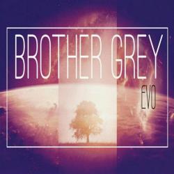 Brother Grey - Evo