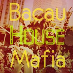 VA - BacauHouseMafia vol.5