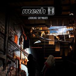 Mesh - Looking Skyward