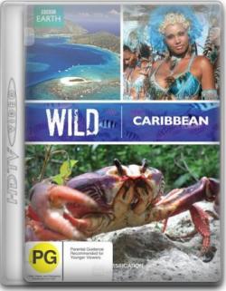   (1-4   4) / BBC. Wild Caribbean VO