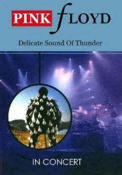 Pink Floyd - Delicate Sound of Thunder