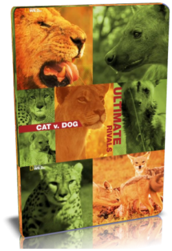  :    / NAT GEO WILD. Ultimate rivals. Cat v. Dog VO