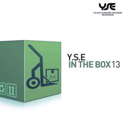 VA - Y.S.E. In the Box Vol. 13