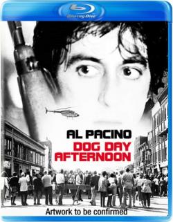   / Dog Day Afternoon MVO