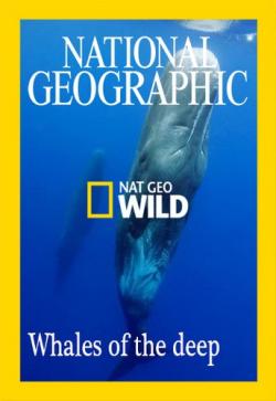   / NAT GEO WILD. Whales of the deep VO