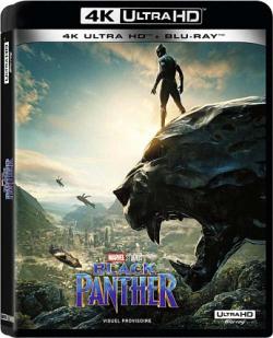 ׸  / Black Panther MVO