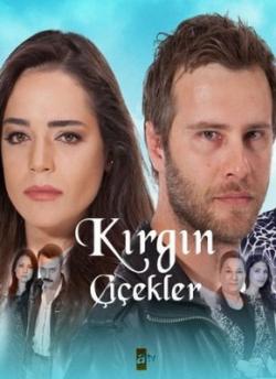   1  1-26   50 / Kirgin cicekler [. ]